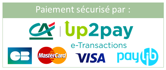 Paiement sécurisé trollix